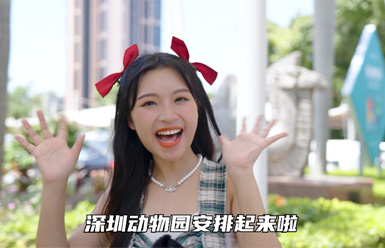 視頻指南