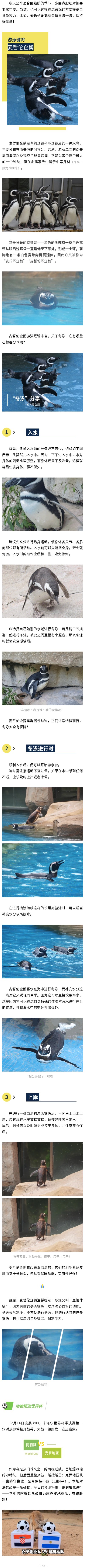 官網.jpg