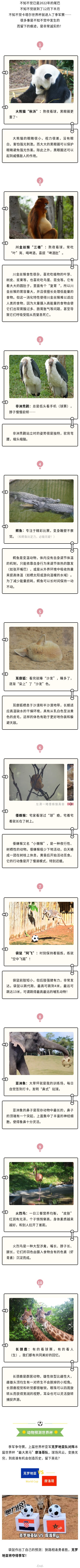 官網.jpg