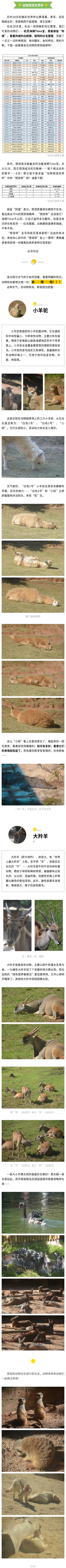 官網.jpg