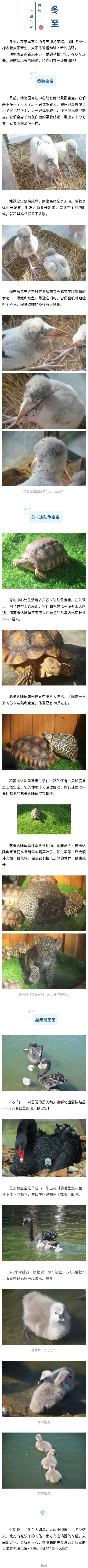 官網.jpg