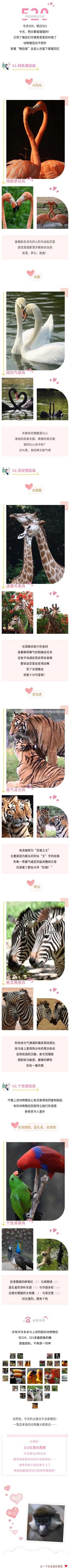 官網.jpg