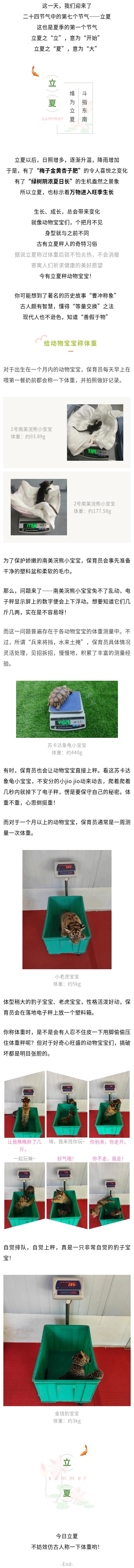 官網.jpg