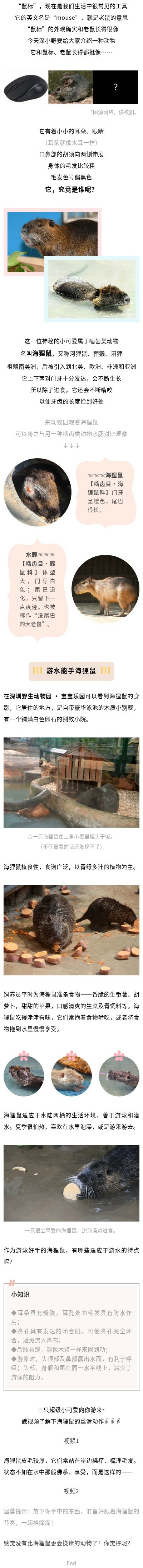 長圖.jpg