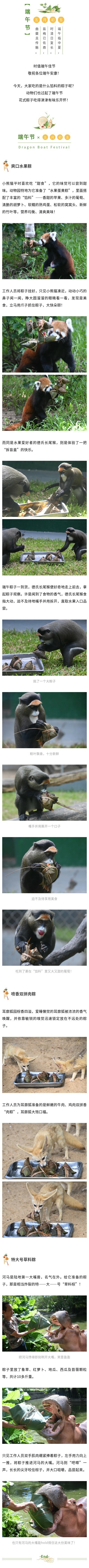 官網.jpg