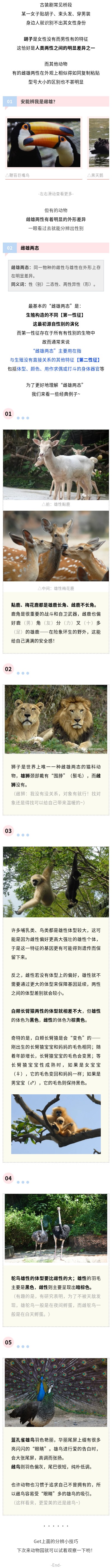 官網.jpg